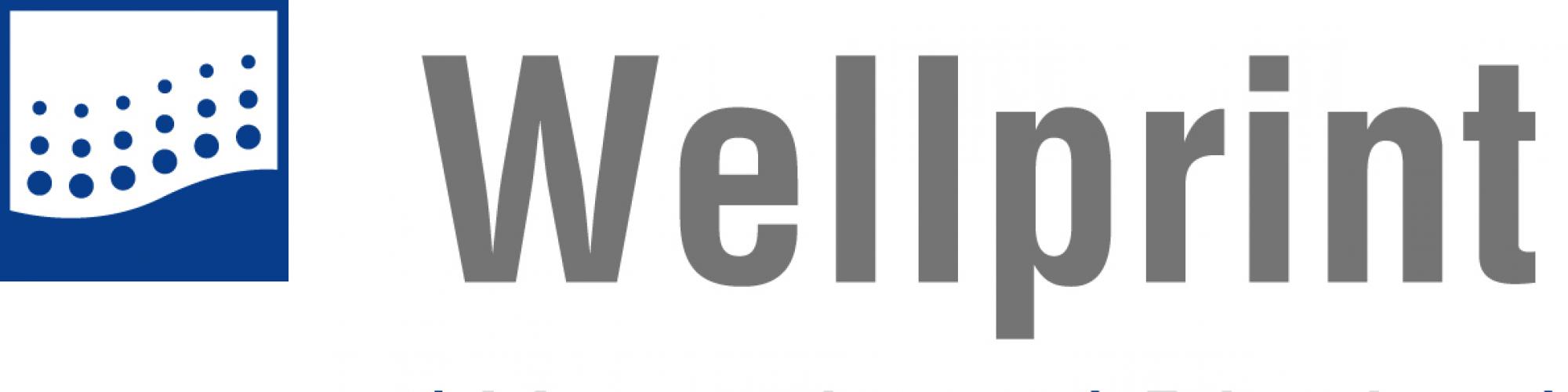 Wellprint GmbH & Co. KG